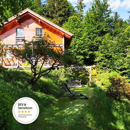 Ferienwohnung Am Woid - Herrliche Alleinlage - Vegane Einrichtung Waldkirchen Exterior foto